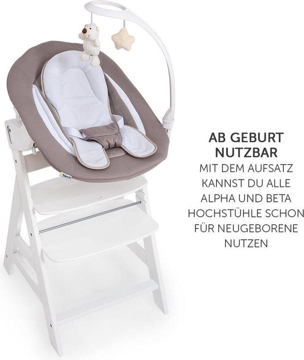 Actual product image Hauck Alpha Bouncer Deluxe