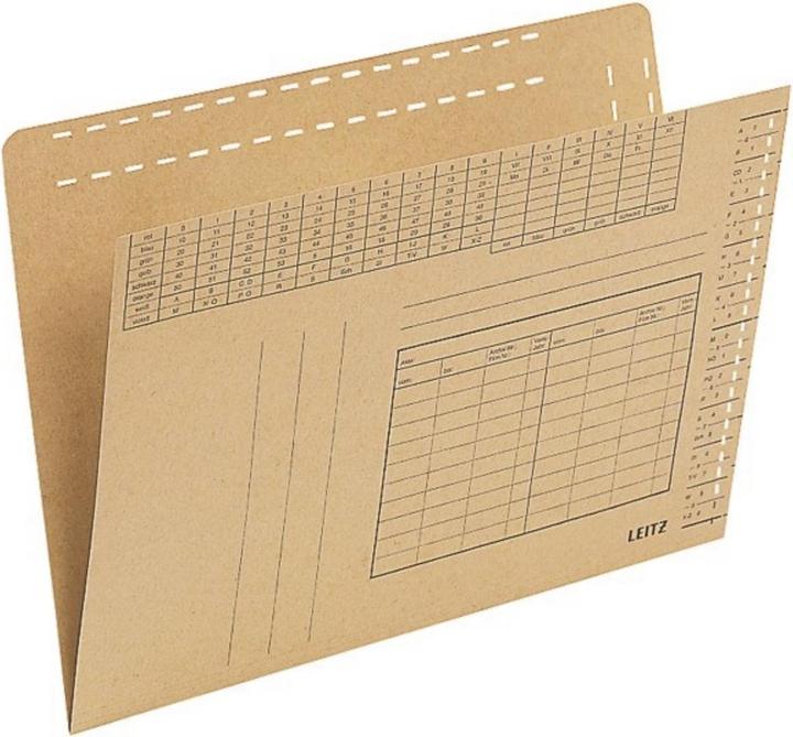 Produktbild Leitz Einsstellmappe (A4, 100 x)