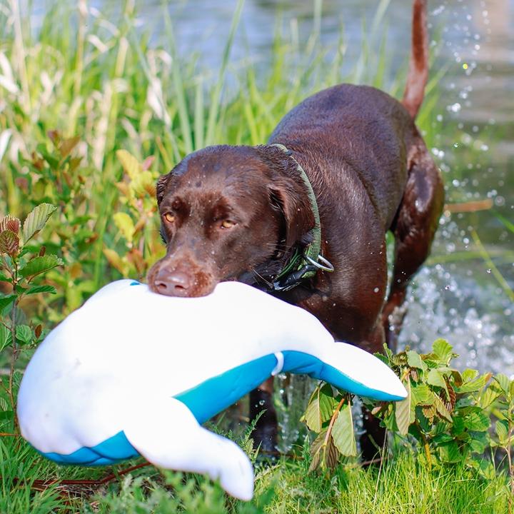 Produktbild Nobby Schwimmender Wal, 48 cm (Plüschspielzeug Hund)