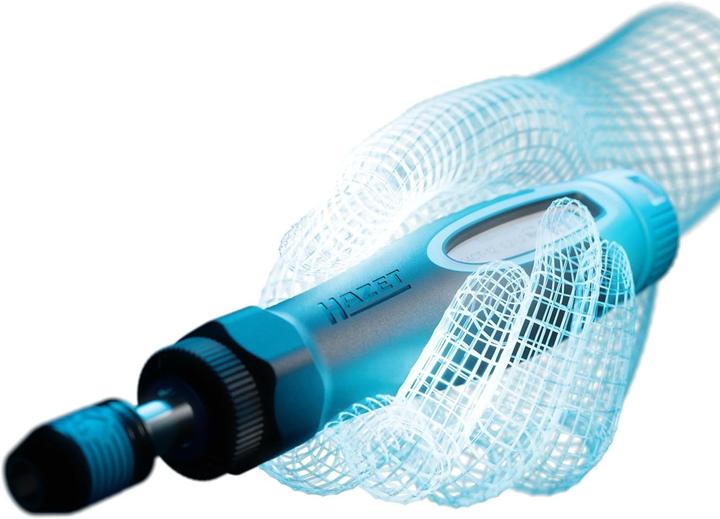 Actual product image HAZET Torque screwdriver 6004CT-3 (1/4")