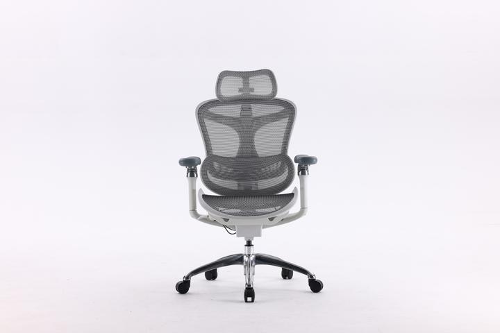 Image du produit Sihoo Doro C300