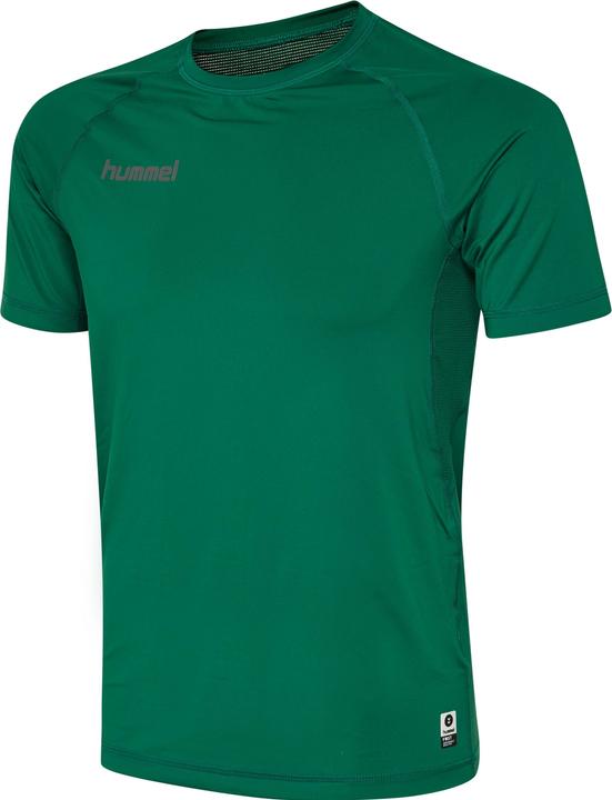 Sempreverde