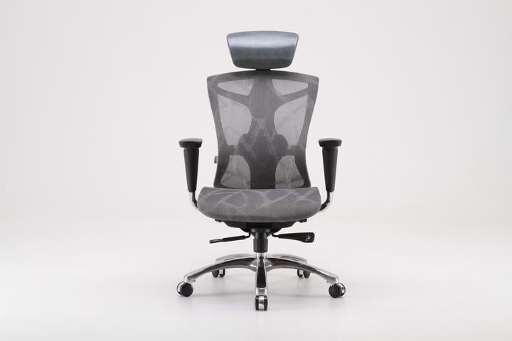 Immagine prodotto Sihoo V1 Ergonomic Office Chair, gray