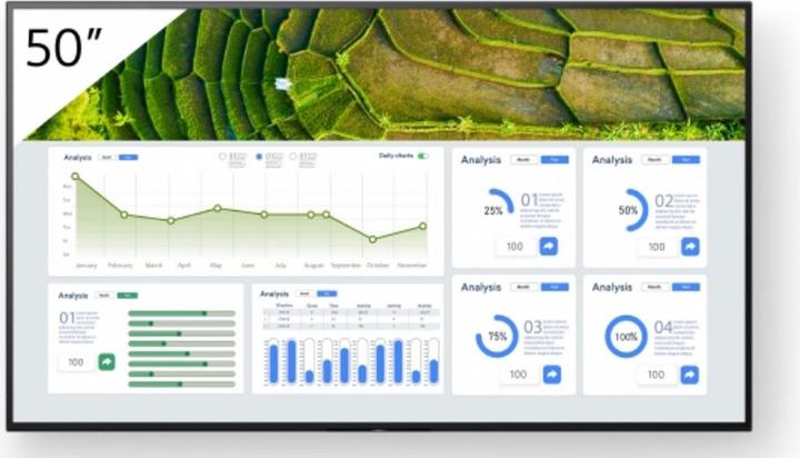 Sony 50" Pro BRAVIA LCD 440nit (3840 x 2160 pixel, 50")