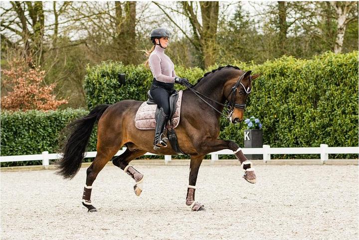 Produktbild Anky Proficient