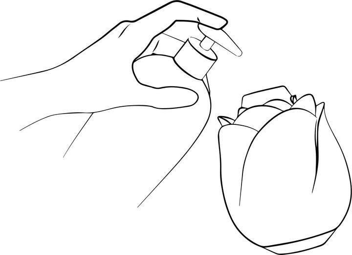 Actual product image Romp Rose