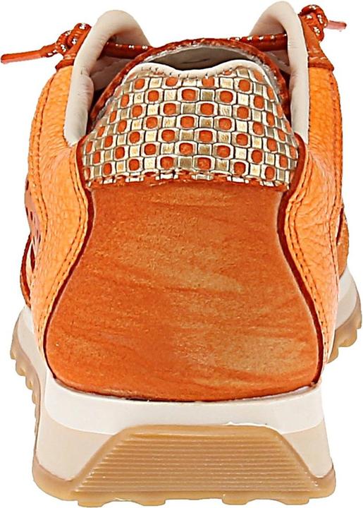 Image du produit Cetti C-848 SRA V25-26 (41)