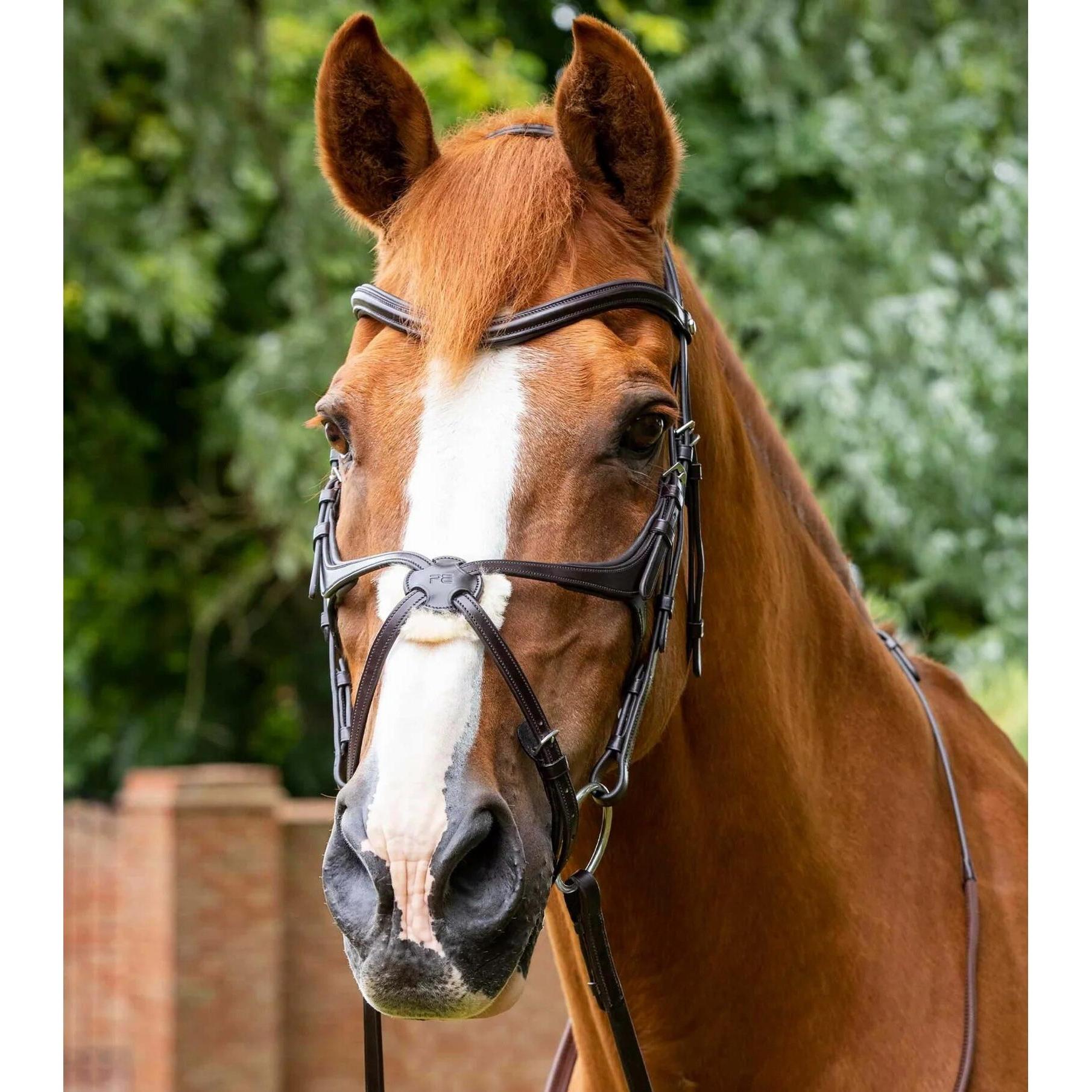 Premier Equine, Zaumzeug