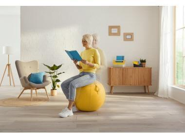 Productafbeelding Leitz Ergo Cosy zitbal (65 cm)