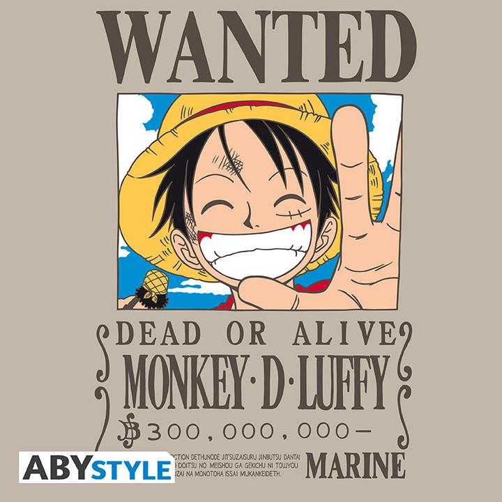 Image du produit ABYstyle One Piece - Monkey D. Luffy - taille S (L)