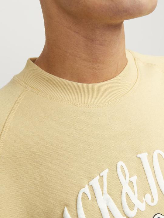 Actual product image Jack & Jones Printed sweatshirt with round neck Sweatshirt with round neck (S)