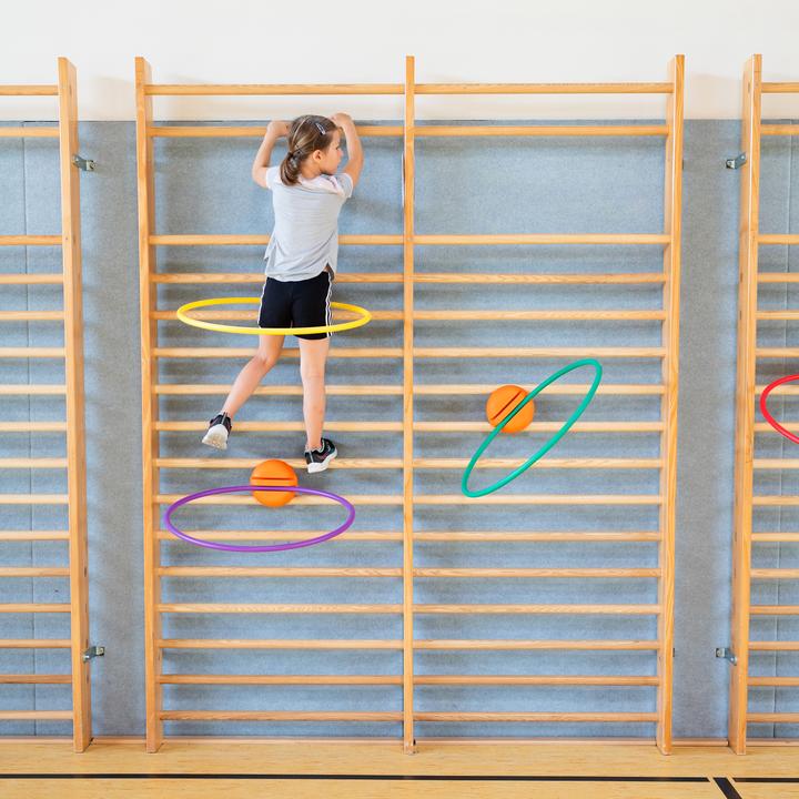 Image du produit Spordas Porte-pneus pour espaliers WalliBari