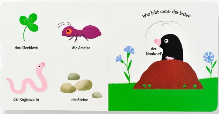 Produktbild Das Regenbogenfisch Badebuch (Deutsch)