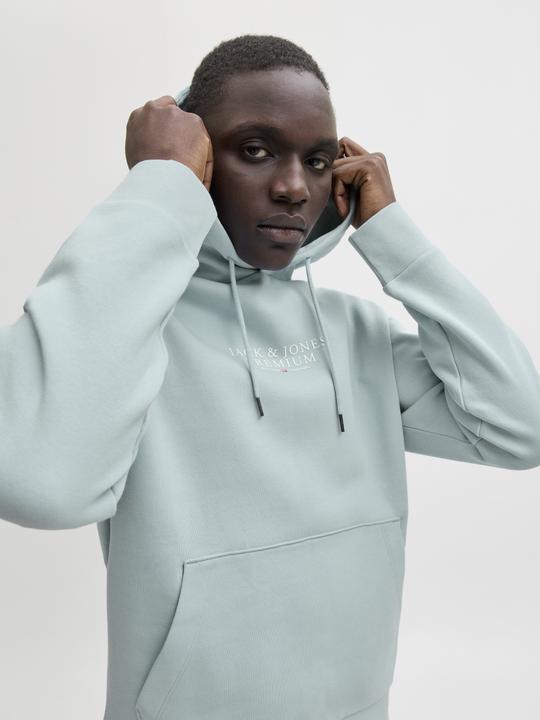 Actual product image Jack & Jones Jprbluarchie Sweat Hood Noos (XL)