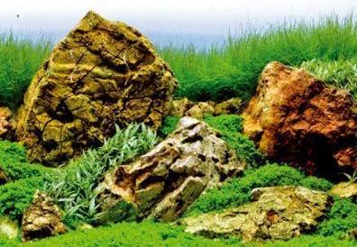Croci Spa Vision double-sided aquarium background 100x45cm (Embellishment, other items)