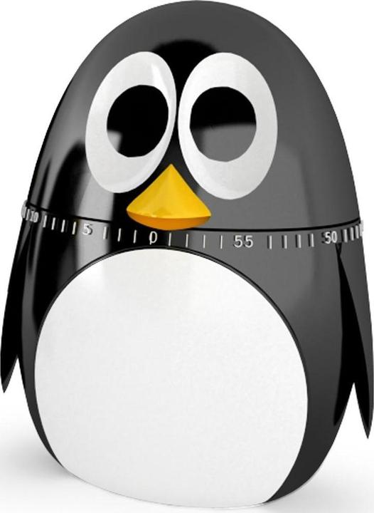 Actual product image Kikkerland Kitchen alarm clock