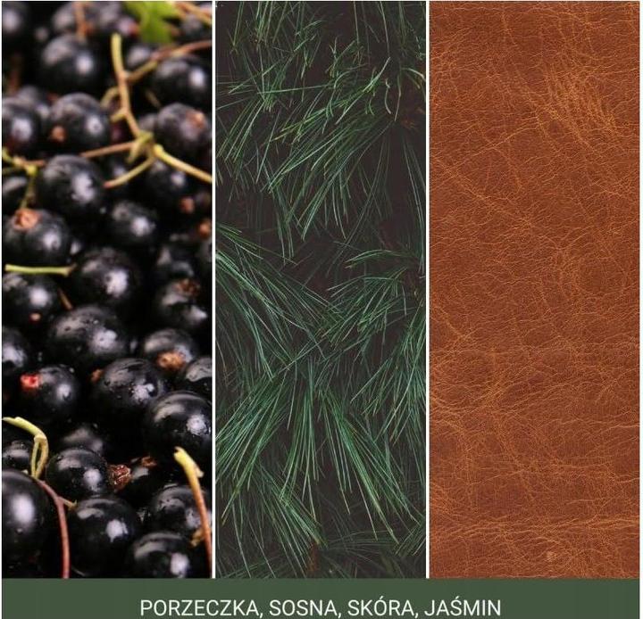 Produktbild Yankee Candle Duftkerze Silver Sage & Pine Signature Medium Jar (368 g)