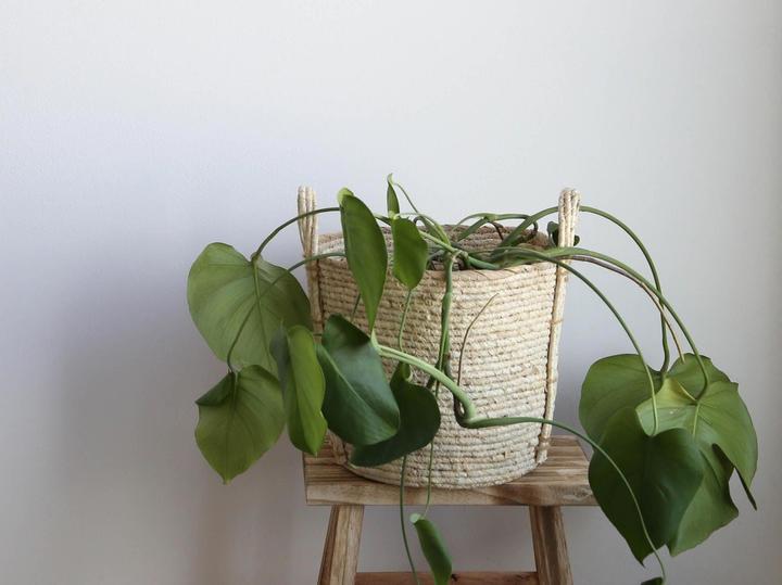 Produktbild Esmée Aufbewahrungskorb (1 x, 35 x 38 x 38 cm)