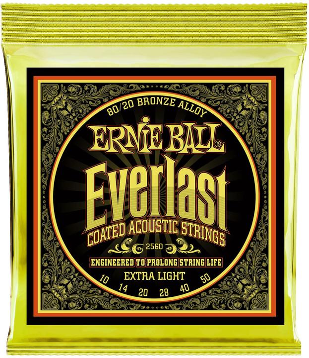 Ernie Ball Akustik Everlast (6 x, Gitarre)