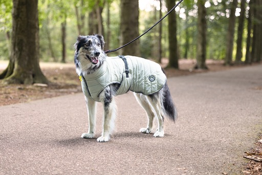 Produktbild Beeztees Bz Hund Mantel Bobby Taupe 52 (52, Hundemantel)