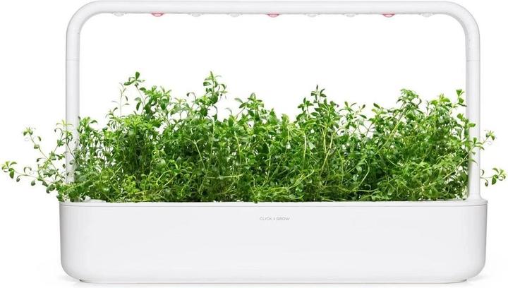 Actual product image Click and Grow Seeds mountain savory, 3-pack (Herb seeds)