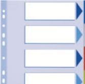 Immagine prodotto Esselte Registro PP