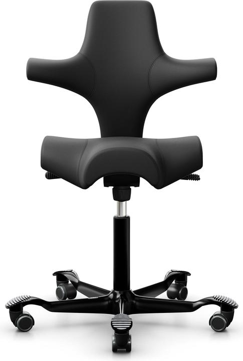 Actual product image HAG Capisco 8106
