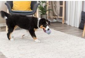 Image du produit Trixie Junior Rope ball for dogs, coton/polyester, 9 cm (Jouet à balle chien)