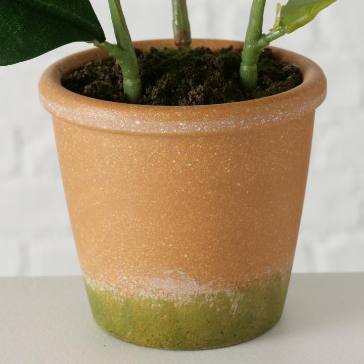 Actual product image Boltze Home Pot Plant Lemon 32cm indoor (32 cm)