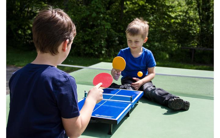Actual product image Donic Schildkröt Table tennis table mini table set