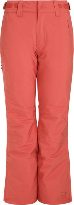 Image du produit Protest CARMACKS snowpants (XL)