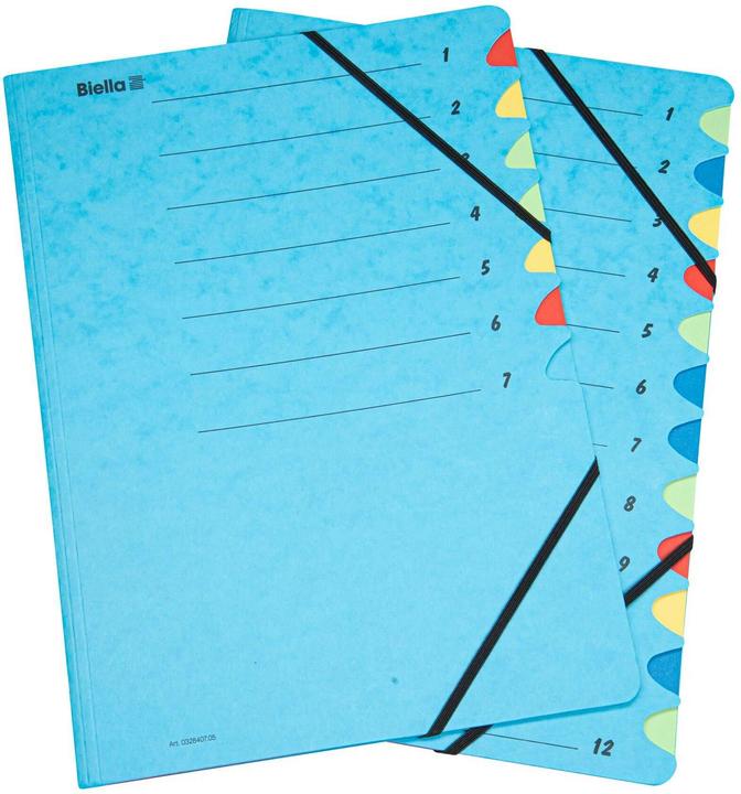 Image du produit Biella Dossier de classement en couleur (A4, 1x)