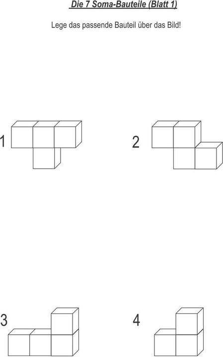 Image du produit Betzold Guide du cube Soma (Allemand)
