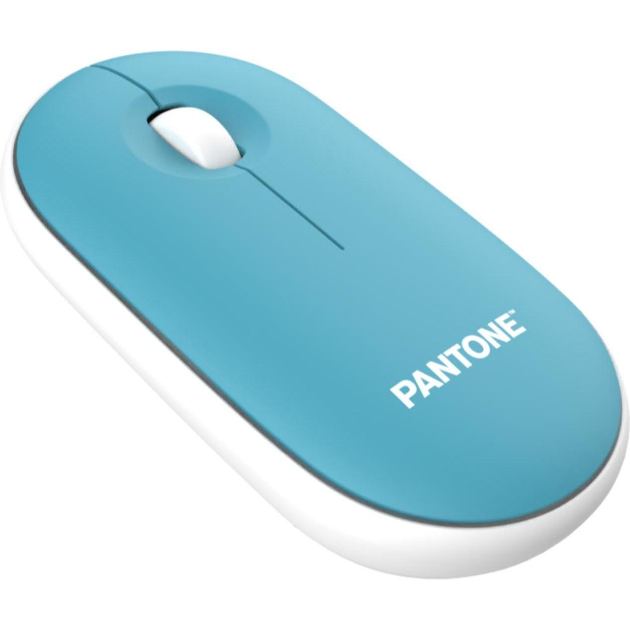 Pantone Maus mit Dongle (Kabellos), Maus, Blau