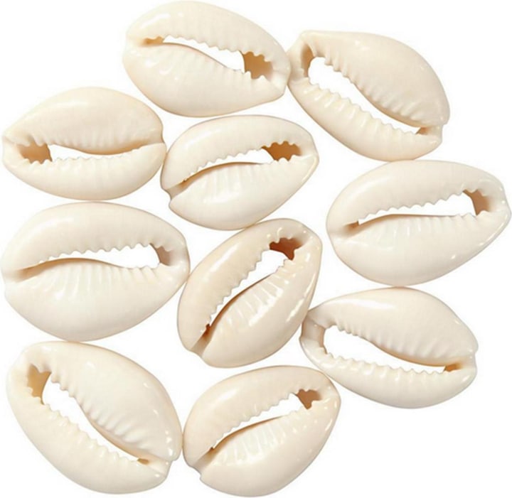 Creativ Company Muschelperlen