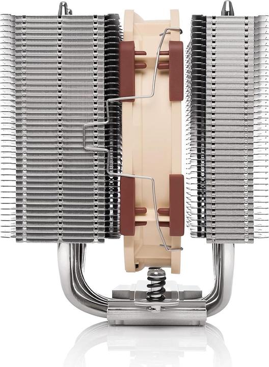 Actual product image Noctua NH-D12L (145 mm)