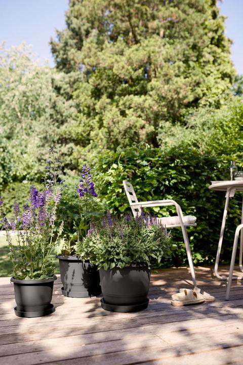 Actual product image Elho Amiga Round (39 x 29 cm)