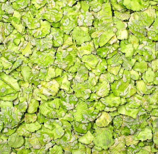 Immagine prodotto JR Farm Fiocchi di piselli (1 kg, 1 x)