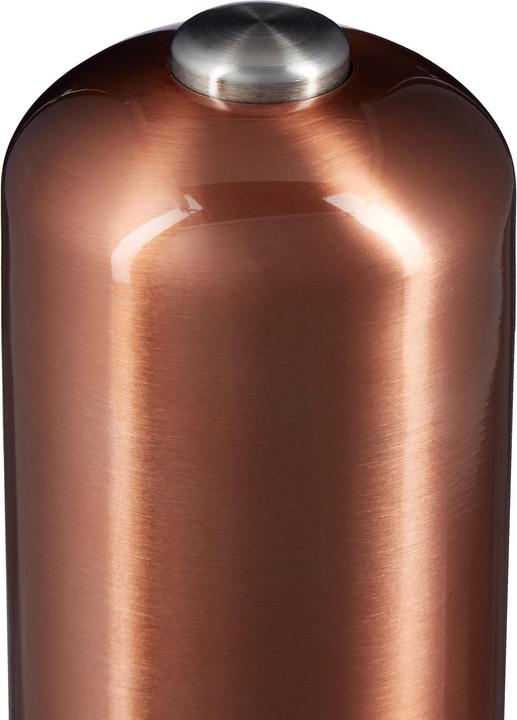 Image du produit Relaxdays Moulin à poivre électrique (Poivre, Piment, Sel marin)