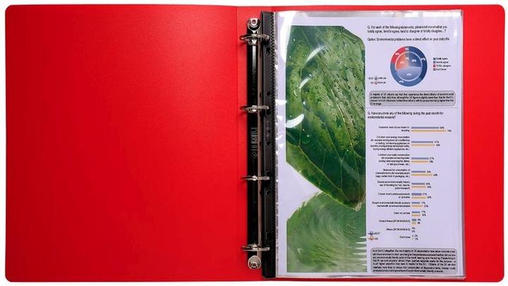 Actual product image Exacompta Sichtmappen (A4, 1 x)