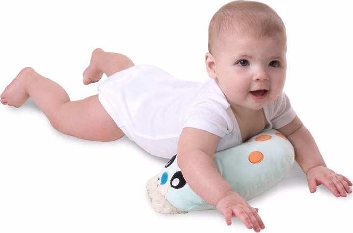Actual product image Playgro Penguin