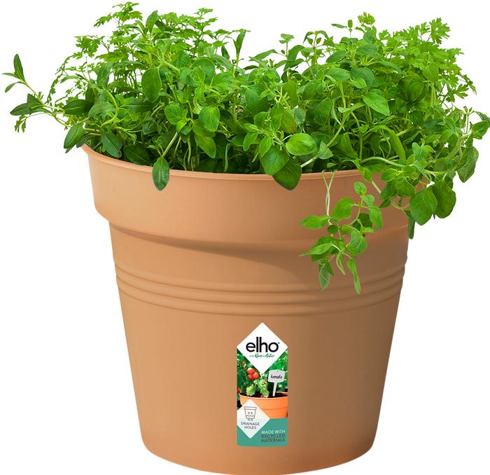 Image du produit Elho Vert de base (24 cm)