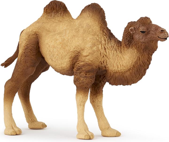 Produktbild Papo Baktrisches Kamel