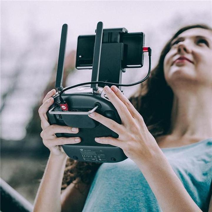 Image du produit Pgytech USB A à USB C (0.35 m)