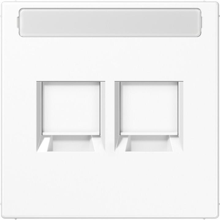 Actual product image JUNG Support ring Mod-Jack 2f LS aws glz Klemmbef LS1969-2NAWEWW