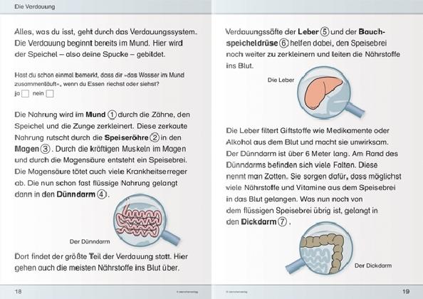 Produktbild Ich kenne meinen Körper - Ernährung und Verdauung (Deutsch, Katrin Langhans, 2015)