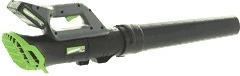 Actual product image Verdemax SA20 Cordless leaf blower (Rechargeable battery operated, Leaf blower)