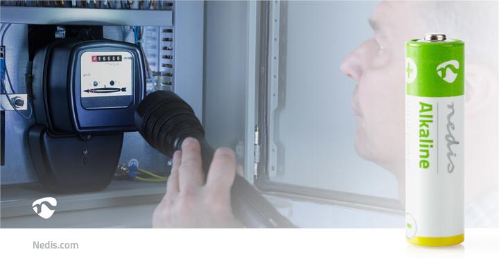 Actual product image Nedis Alkaline battery AA | 1.5 V DC | 10 blisters (10 pcs., AA)