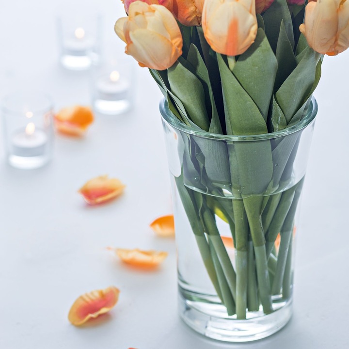 Immagine prodotto Leonardo Bloom (1 x, 22,5 x 14,5 x 14,5 cm, 4.73 l)