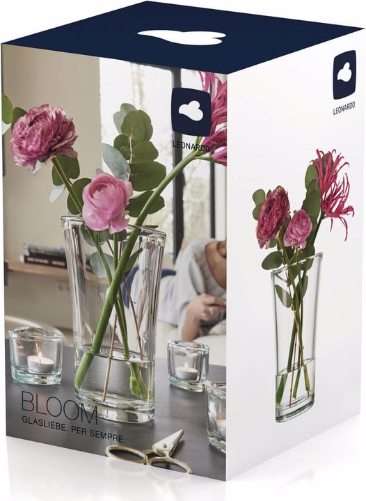 Immagine prodotto Leonardo Bloom (1 x, 22,5 x 14,5 x 14,5 cm, 4.73 l)